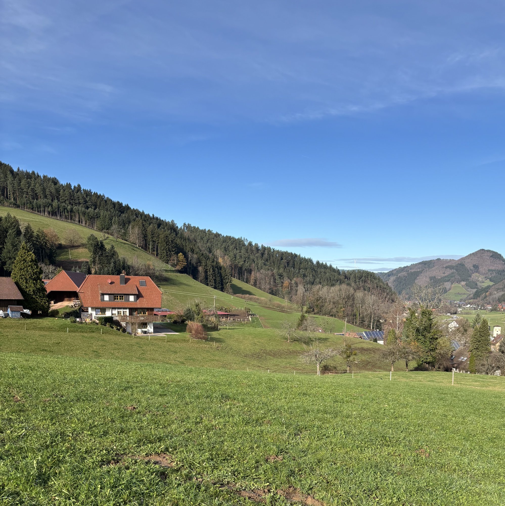 Blick über das Gutachtal: Wiesen, Schwarzwaldhöfe und bewaldete Hänge