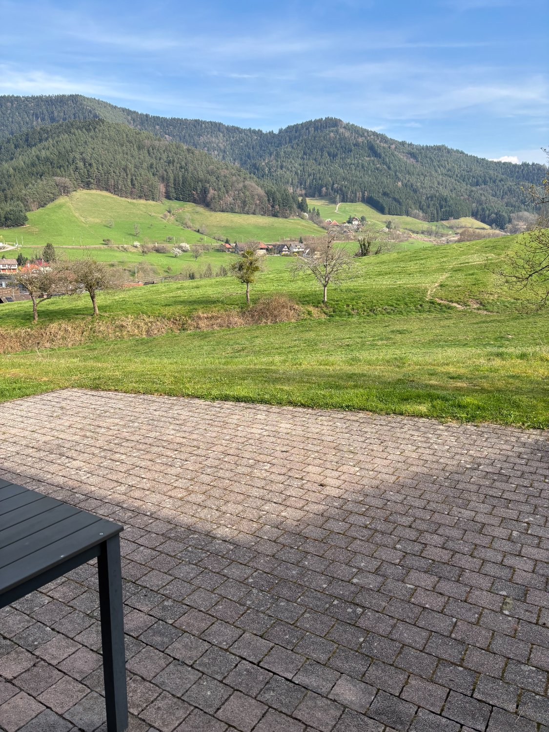 Blick von der Terrasse auf Wiese und Hügel